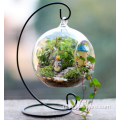 woondecoratie helder handgeblazen hangend glazen terrarium